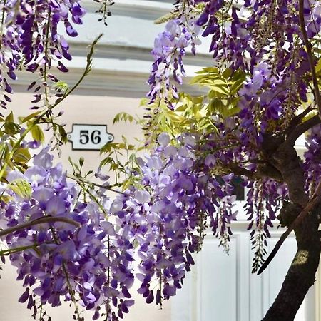 Bed and Breakfast Wisteria Fontainebleau Esterno foto