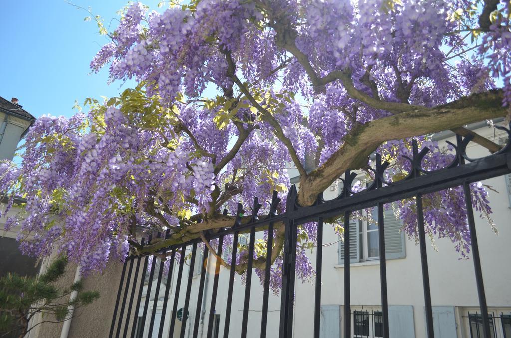 Wisteria Bed and Breakfast Fontainebleau Esterno foto