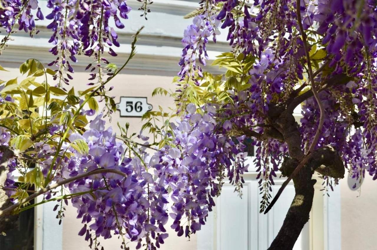 Bed and Breakfast Wisteria Fontainebleau Esterno foto