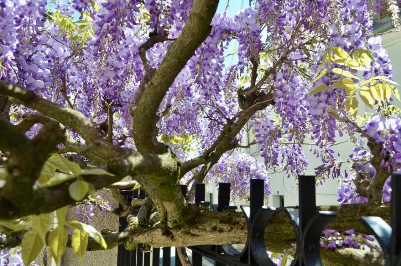 Bed and Breakfast Wisteria Fontainebleau Esterno foto