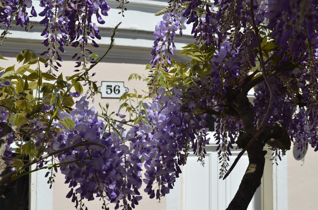 Wisteria Bed and Breakfast Fontainebleau Esterno foto